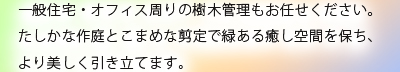 一般住宅・オフィス周りの樹木管理もお任せください。たしかな作庭とこまめな剪定で緑ある癒し空間を保ち、より美しく引き立てます。